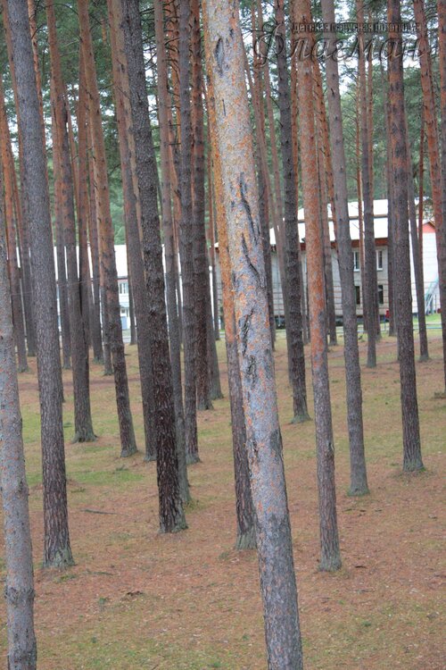 Делегация отряда на осенних каникулах в ДОЛ Буревестник